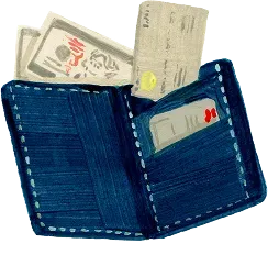 Watercolor illustration of a license